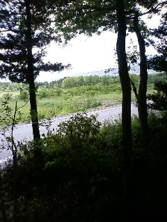 たまに行くならこんな店 ＃２